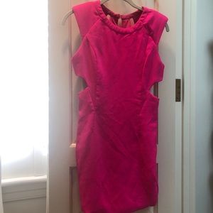 Tobi Hot Pink Dress